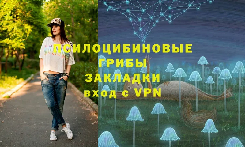 Галлюциногенные грибы Cubensis  где продают   это какой сайт  Тула  hydra  