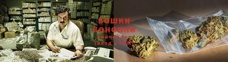 закладки  Тула  Шишки марихуана Ganja 